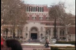 'Real College Girls 8' screenshot nº 6