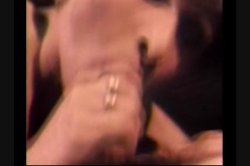 Captura de 'Porn In The U.S.A. Vol. 2' nº 64