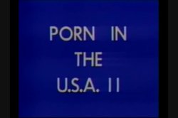 Captura de 'Porn In The U.S.A. Vol. 2' nº 1