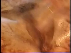 'Birthday Messacre' screenshot nº 131