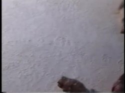 'Birthday Messacre' screenshot nº 25