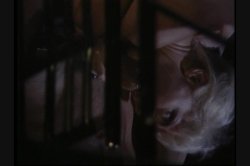 Captura de 'News Action' nº 119