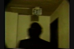 'Neighborhood Watch Vol. 20' screenshot nº 5
