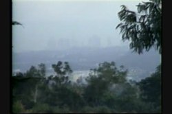 'Bun Busters #5' screenshot nº 5