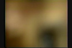 'Bun Busters #5' screenshot nº 61