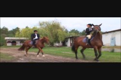 'Russian Institute - Lesson 11' screenshot nº 35