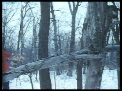 Captura de 'Virgin Snow' nº 66