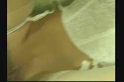 Captura de 'Red Hot Redheads 2' nº 41