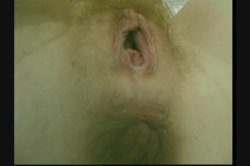 Captura de 'Red Hot Redheads 2' nº 51