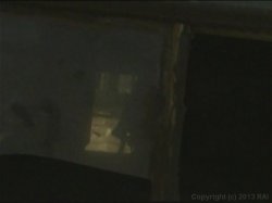 Captura de 'Playgirl's Hottest Voyeuristic Adventures' nº 65