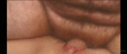 'Hot Horny Housewives 8' screenshot nº 46