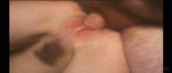 'Hot Horny Housewives 8' screenshot nº 47
