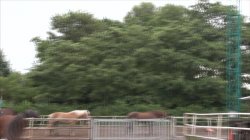 Captura de 'Teeners From Holland 21' nº 76