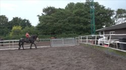 Captura de 'Teeners From Holland 21' nº 77
