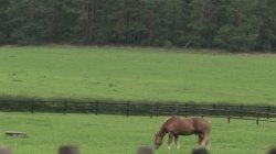 Captura de 'Teeners From Holland 21' nº 112