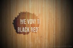 Captura de 'We Vow To Bang Black Beotches' nº 3