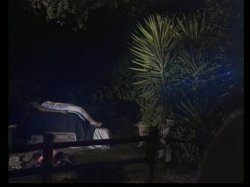 'Shades of Sex' screenshot nº 73
