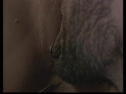 'Shades of Sex' screenshot nº 76