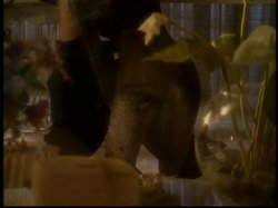'Shades of Sex' screenshot nº 96
