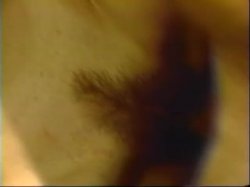'The Goddaughter #2' screenshot nº 62