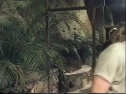 'The Goddaughter #1' screenshot nº 43