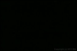'Where The Boys Aren't #7' screenshot nº 1
