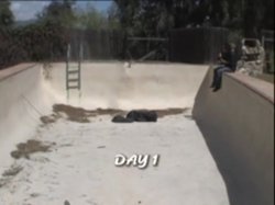 'Tied Tickled Fucked' screenshot nº 124