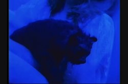 Captura de 'Twisted' nº 37