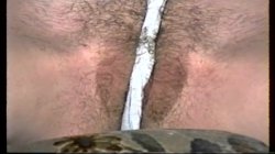 'Panty Pleaser' screenshot nº 44