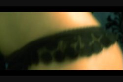 'Fuck VIP - Stars' screenshot nº 28