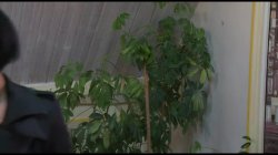 'Io Sono Un'Altra' screenshot nº 13