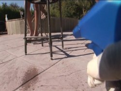 'Wet Juicy Asses 4' screenshot nº 70