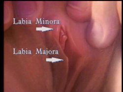 'Better Oral Sex Techniques' screenshot nº 10