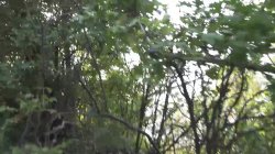 Captura de 'Jason Steel - Saftgeile Spermaluder' nº 2