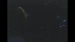 Captura de 'American Pie' nº 51