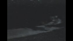 Captura de 'American Pie' nº 100