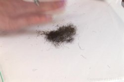 'Watch Me Shave My Pussy 2' screenshot nº 44