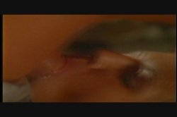 Captura de 'Glazed and Confused' nº 123
