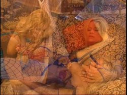 'Sexual Multiplicity' screenshot nº 13