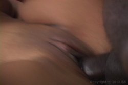 'Booty Central 6' screenshot nº 66