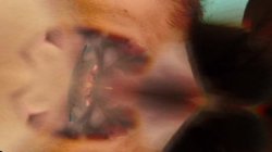 Captura de 'Honey Bunny' nº 83