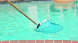 Captura de 'Trans Pool Girls' nº 47
