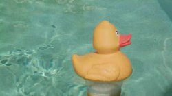 Captura de 'Trans Pool Girls' nº 5