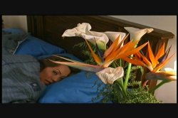 'Any Dorm in a Storm' screenshot nº 132