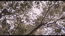 'Porn Fidelity's Whiteroom #5' screenshot nº 3