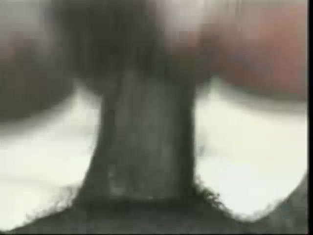 streaming porn video screenshot