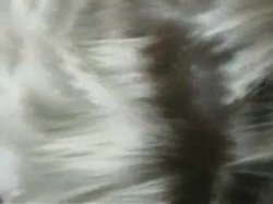 'Shut Up & Blow Me! - Volume 20' screenshot nº 47