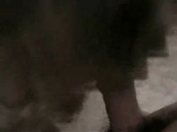 'Shut Up & Blow Me! - Volume 20' screenshot nº 89