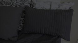 Captura de 'Seeking Rental Arrangement 2' nº 2
