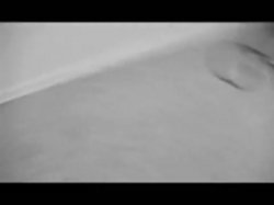 'Devlin Weed's Nasty Home Video 2' screenshot nº 102